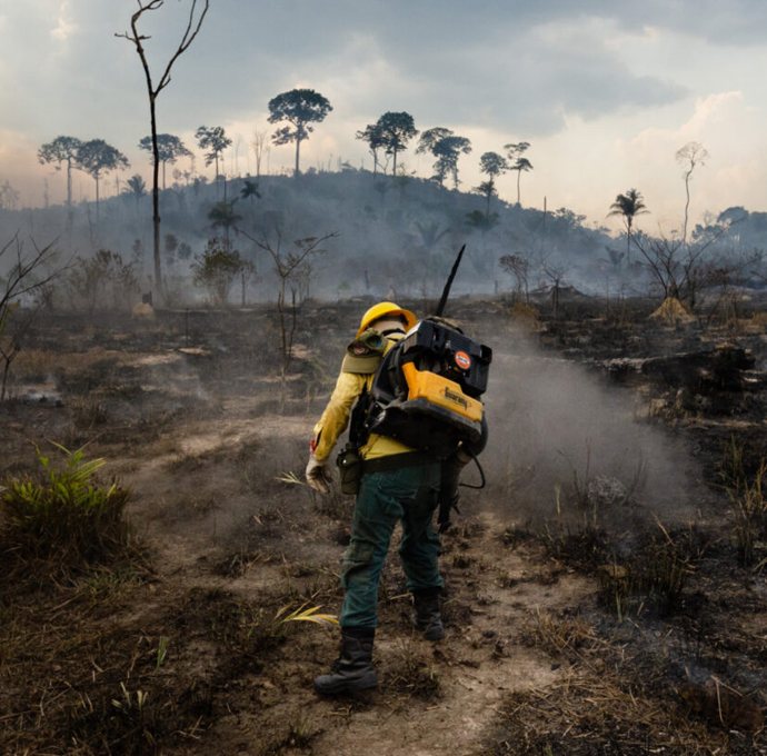 Wildfire-Impact-Investigation